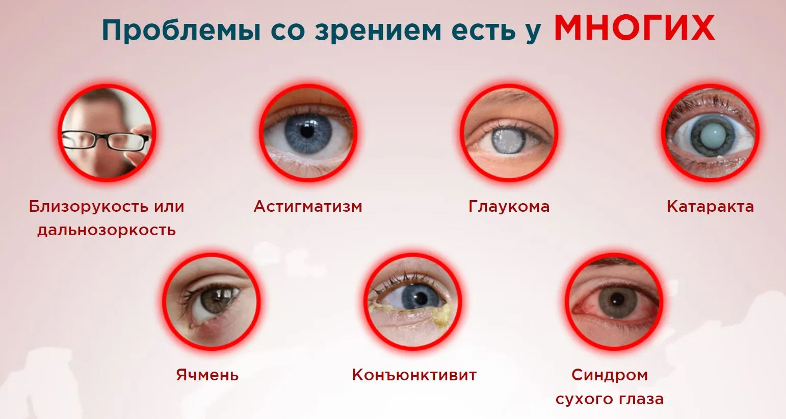 Одним из ключевых действий Ливиоптика является улучшение микроциркуляции крови в глазах